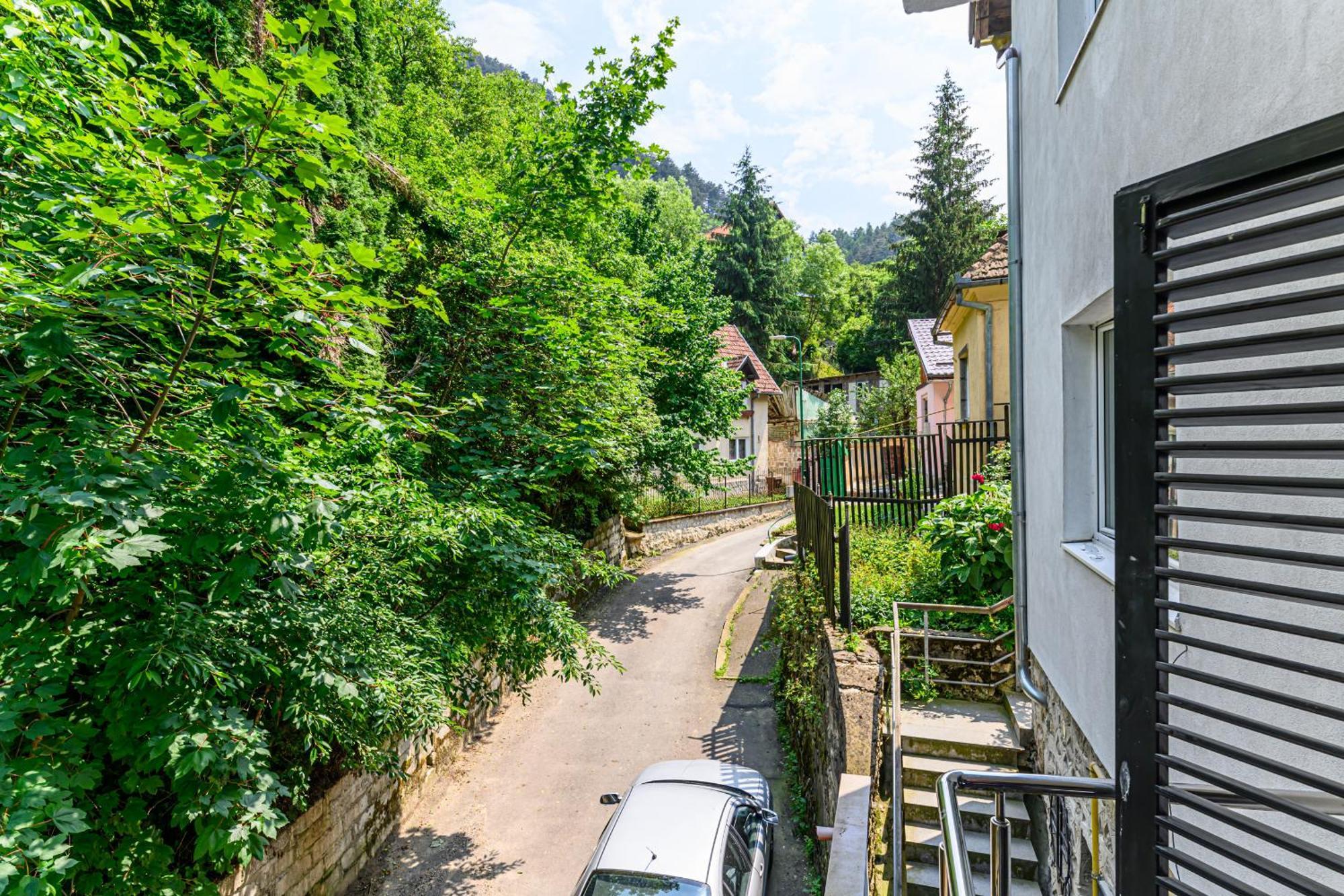 Apartamento C Alex Braşov Exterior foto